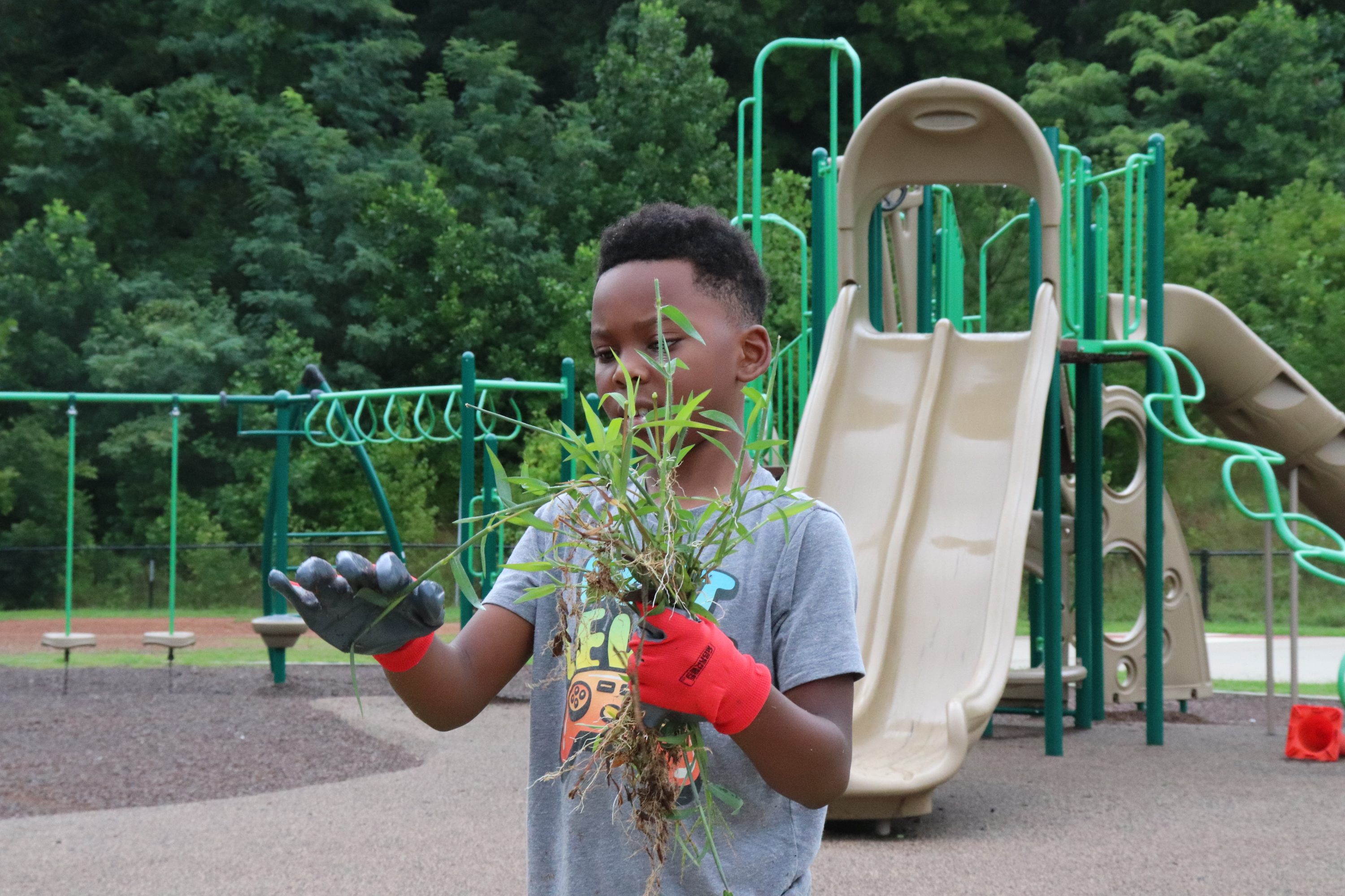 A child holds weeds